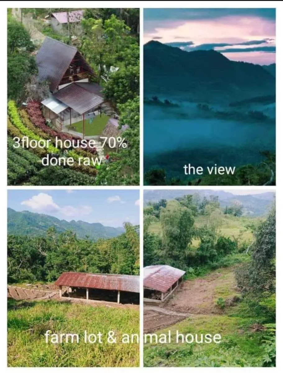 1000010636 Overlooking Lot in Cebu