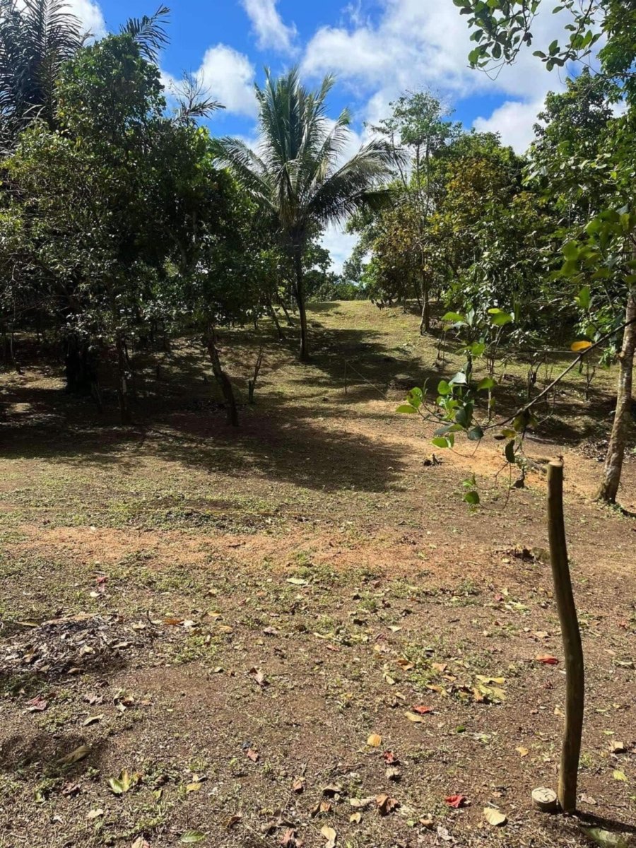 1000010707 Matagbak Alfonso, Cavite Farm Lot