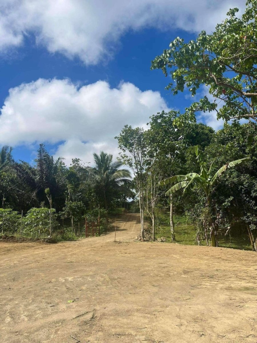 1000010708 Matagbak Alfonso, Cavite Farm Lot