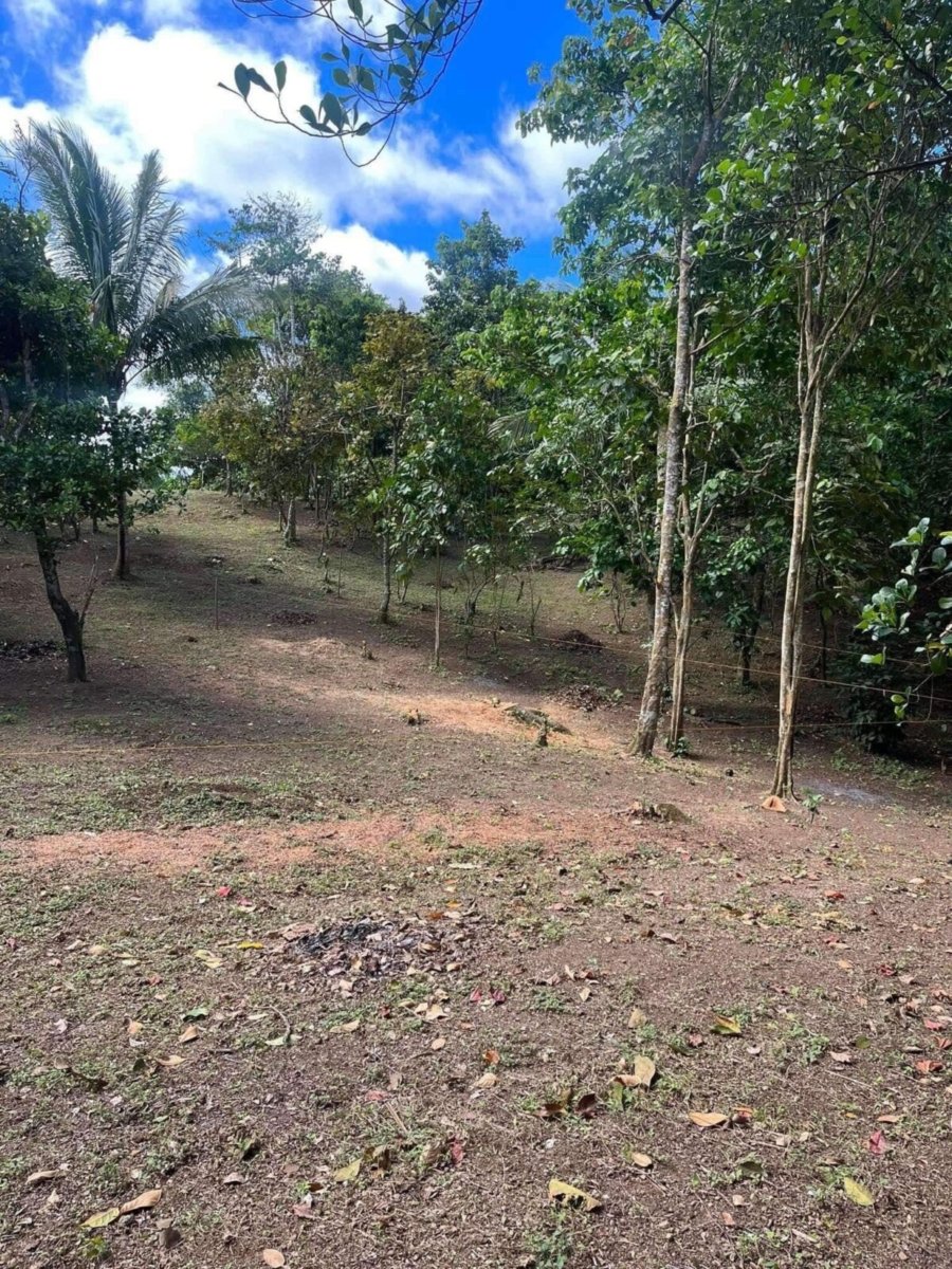 1000010709 Matagbak Alfonso, Cavite Farm Lot