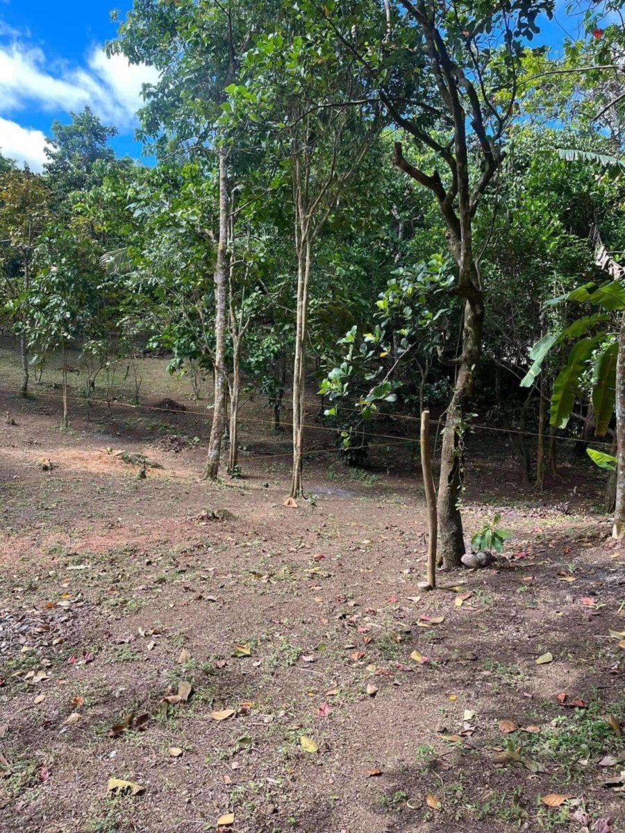 1000010710 Matagbak Alfonso, Cavite Farm Lot