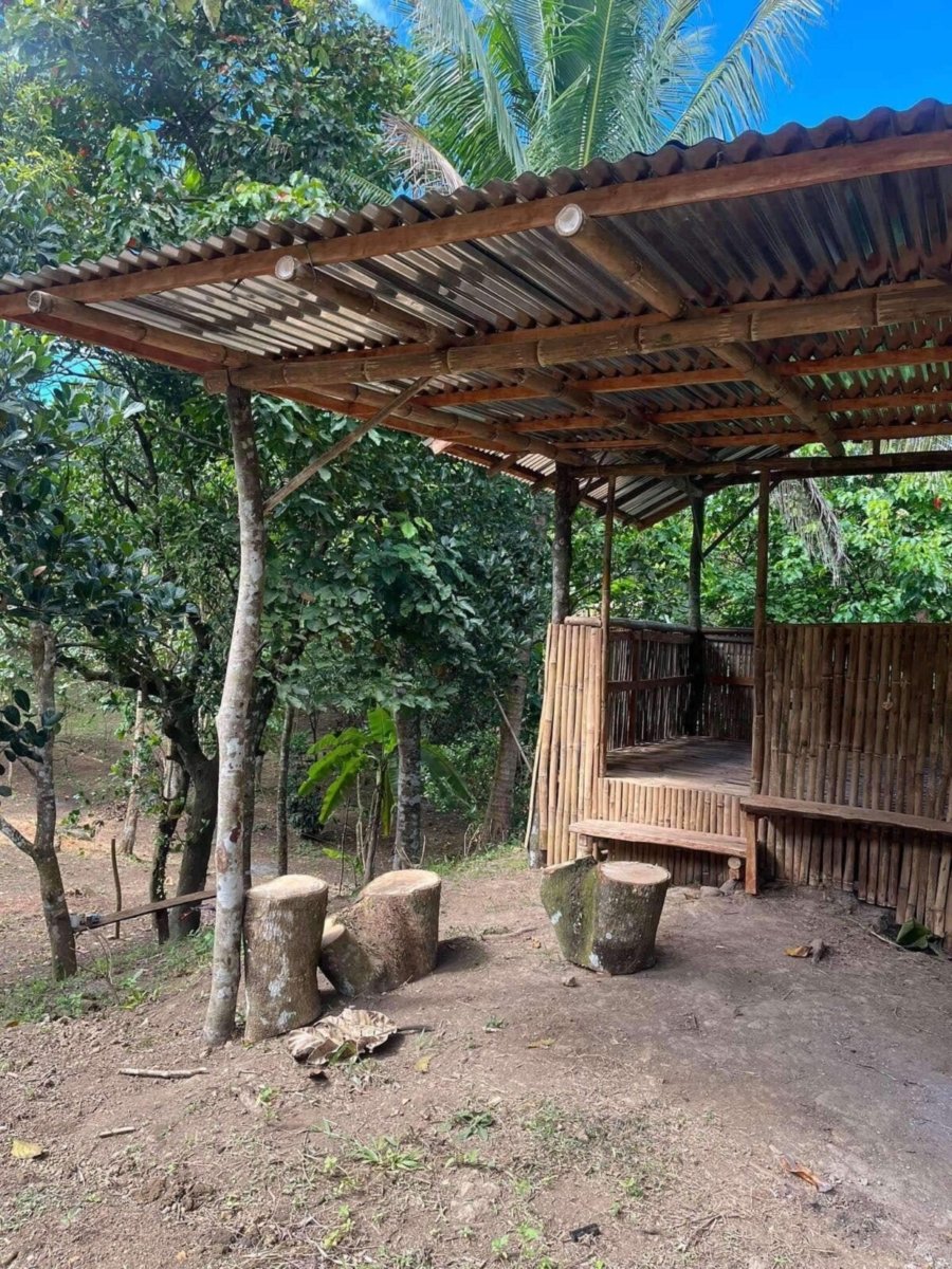 1000010711 Matagbak Alfonso, Cavite Farm Lot