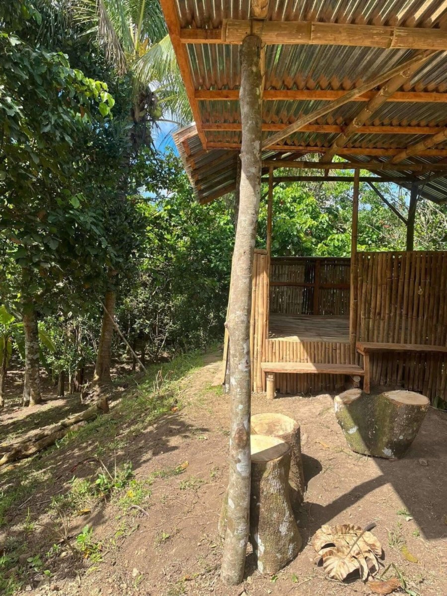 1000010712 Matagbak Alfonso, Cavite Farm Lot
