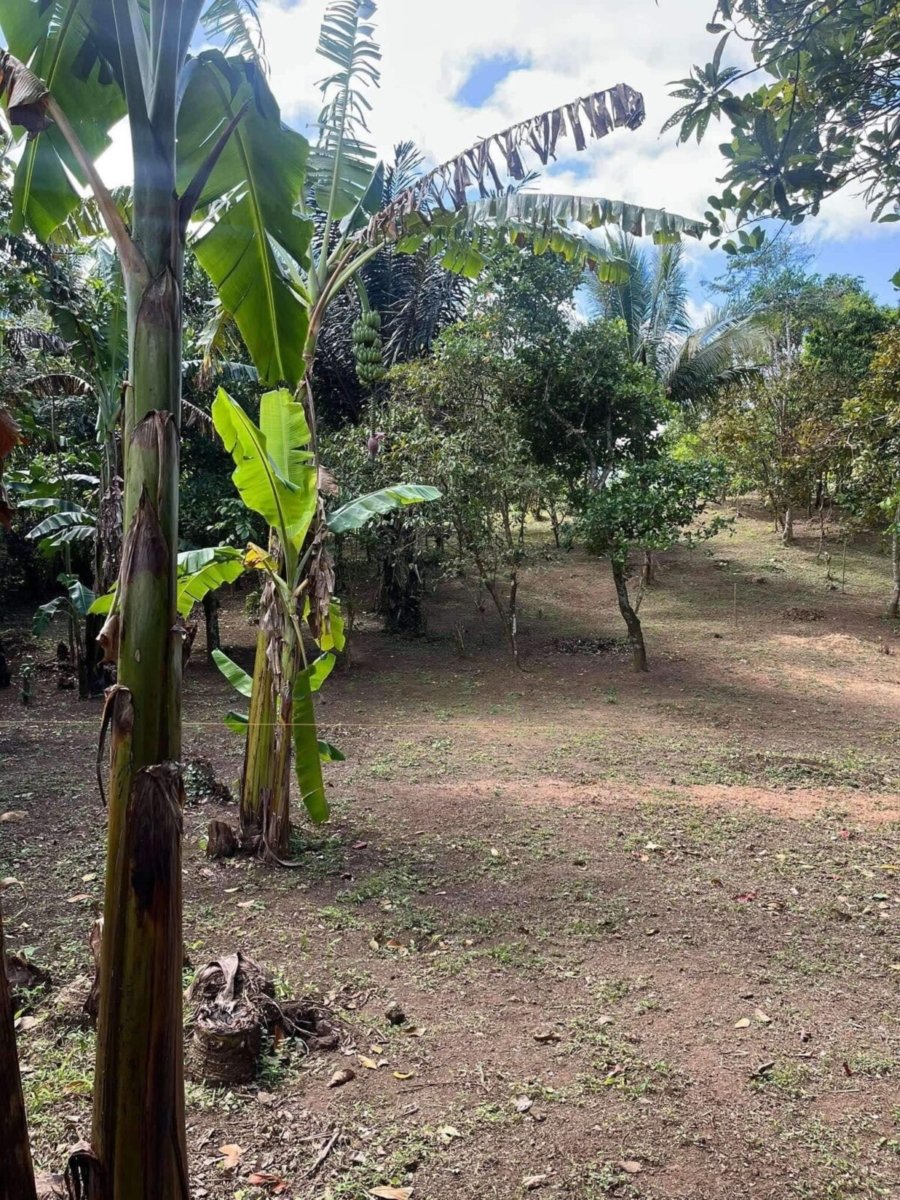 1000010713 Matagbak Alfonso, Cavite Farm Lot