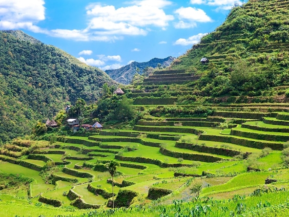 land Philippines - buy or sell rice terraces in the Philippines