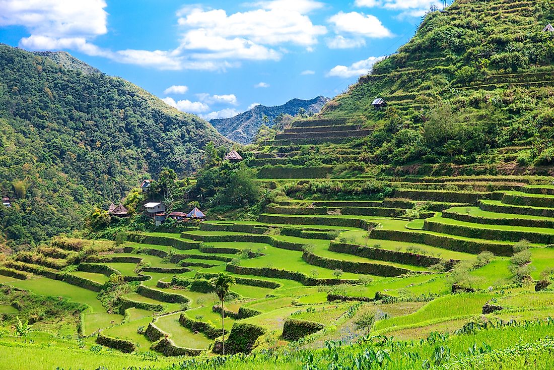 land Philippines - buy or sell rice terraces in the Philippines