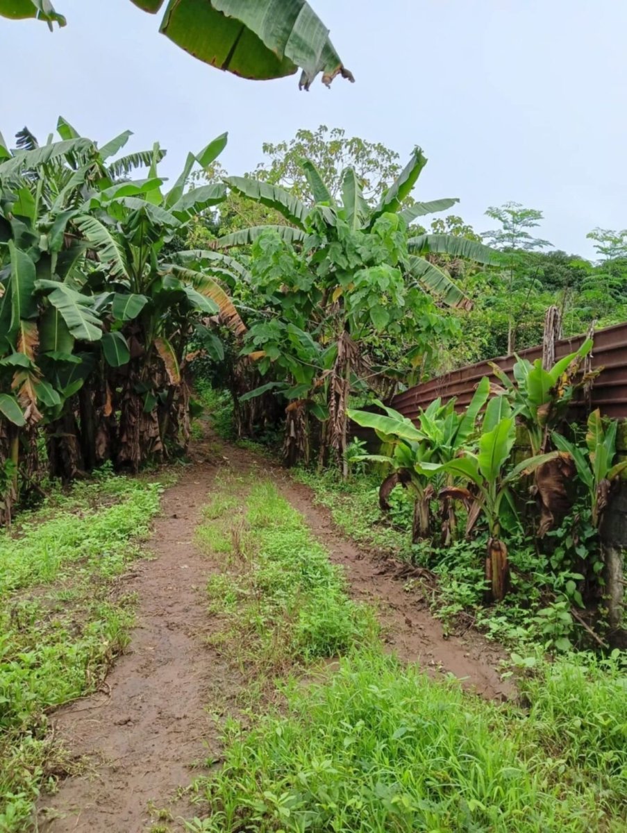 1000012622 Bulacan Land for Sale