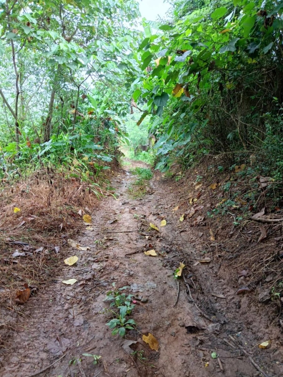 1000012623 Bulacan Land for Sale