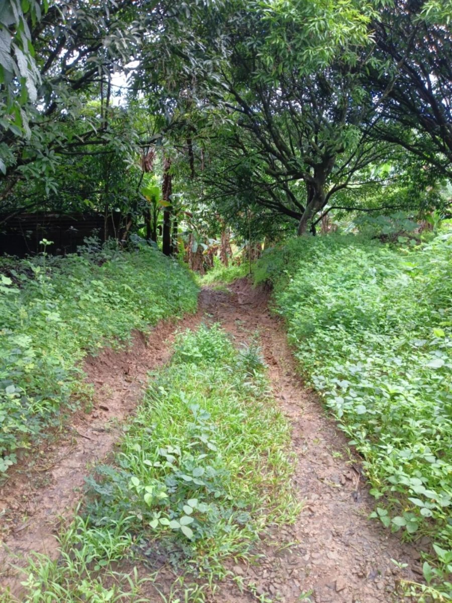 1000012625 Bulacan Land for Sale