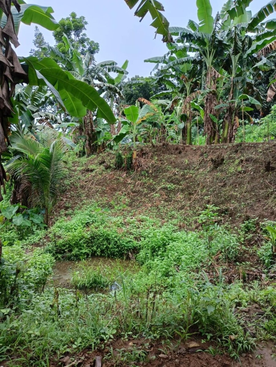 1000012627 Bulacan Land for Sale
