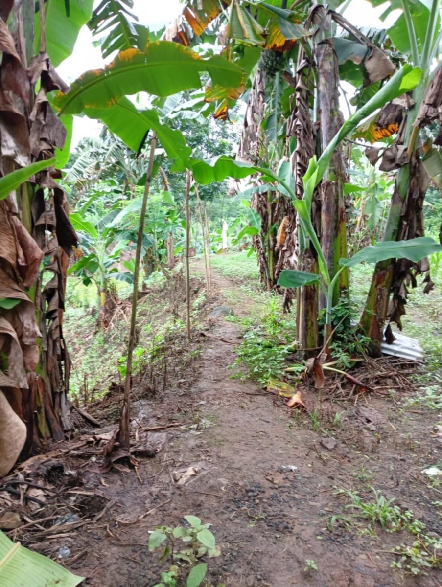 1000012628 Bulacan Land for Sale