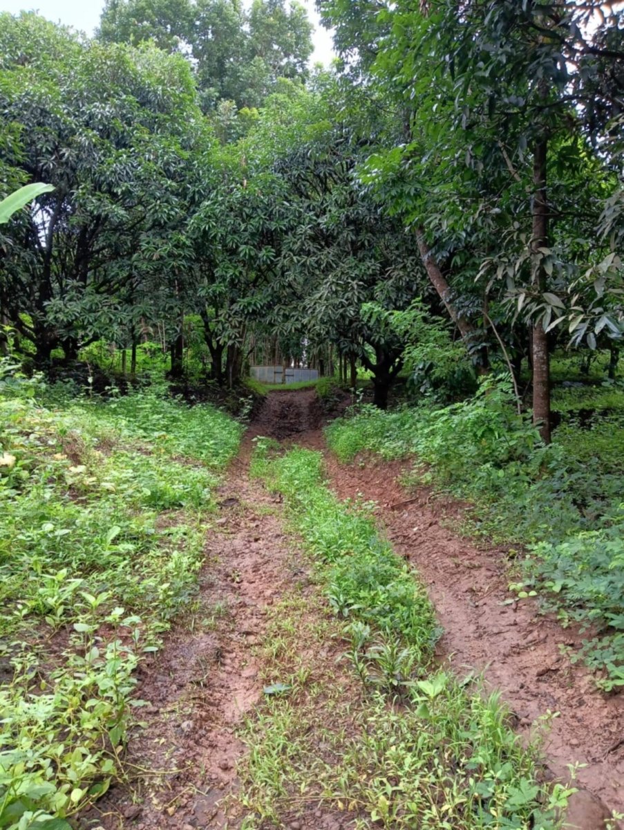 1000012629 Bulacan Land for Sale