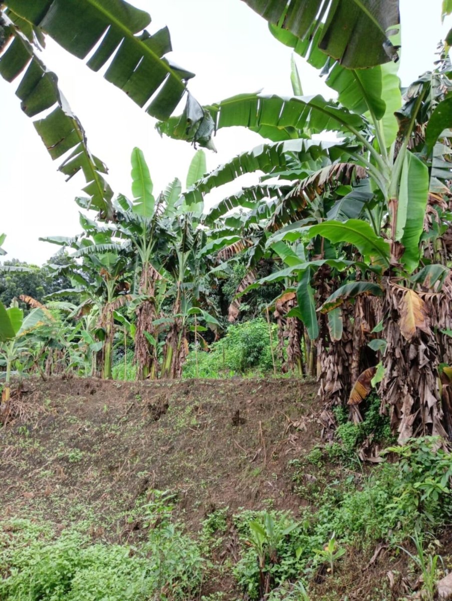 1000012631 Bulacan Land for Sale