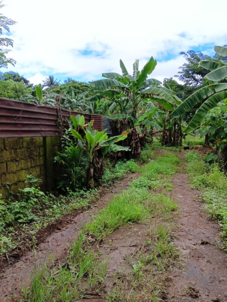 1000012634 Bulacan Land for Sale