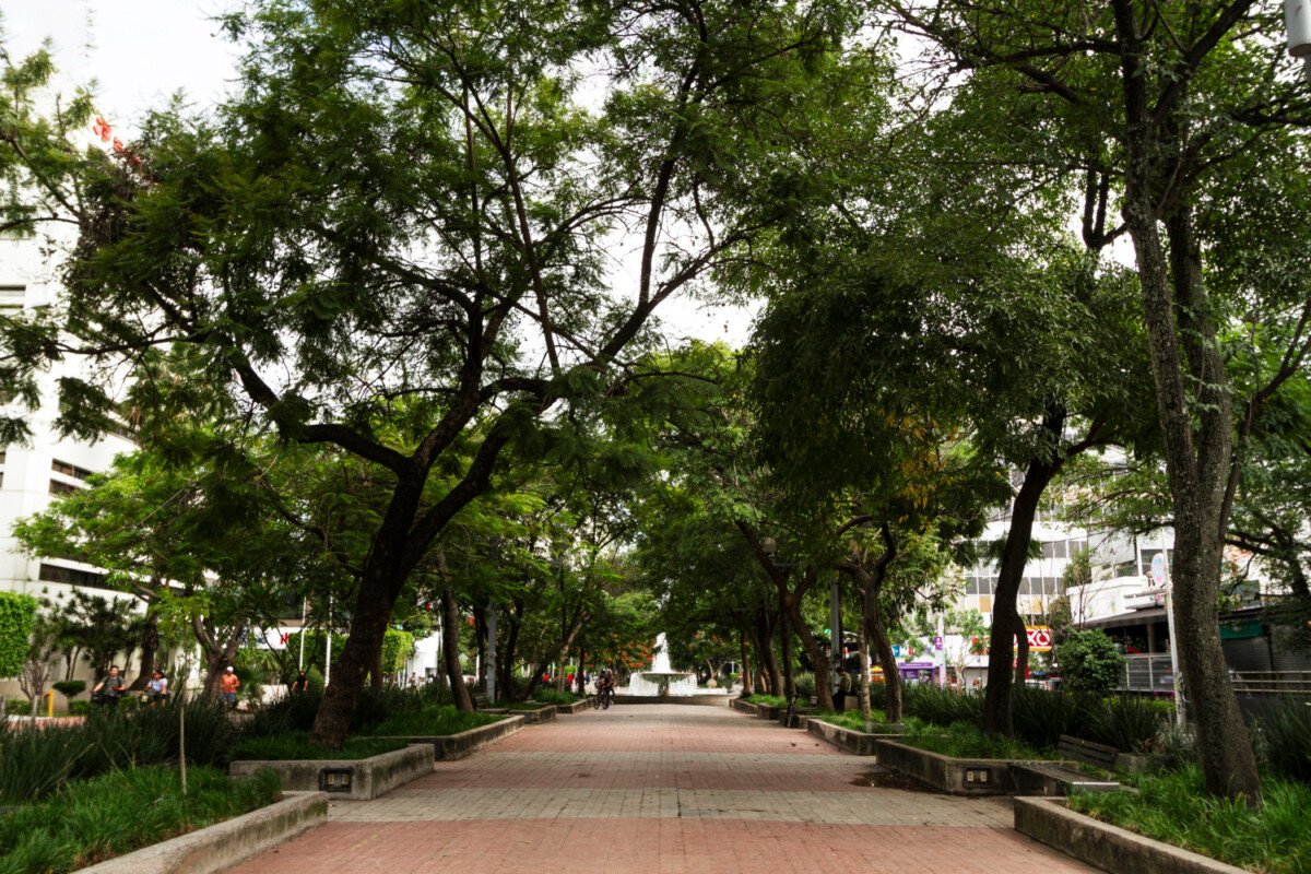 Houses in Forbes Park – Your Next-Level Address