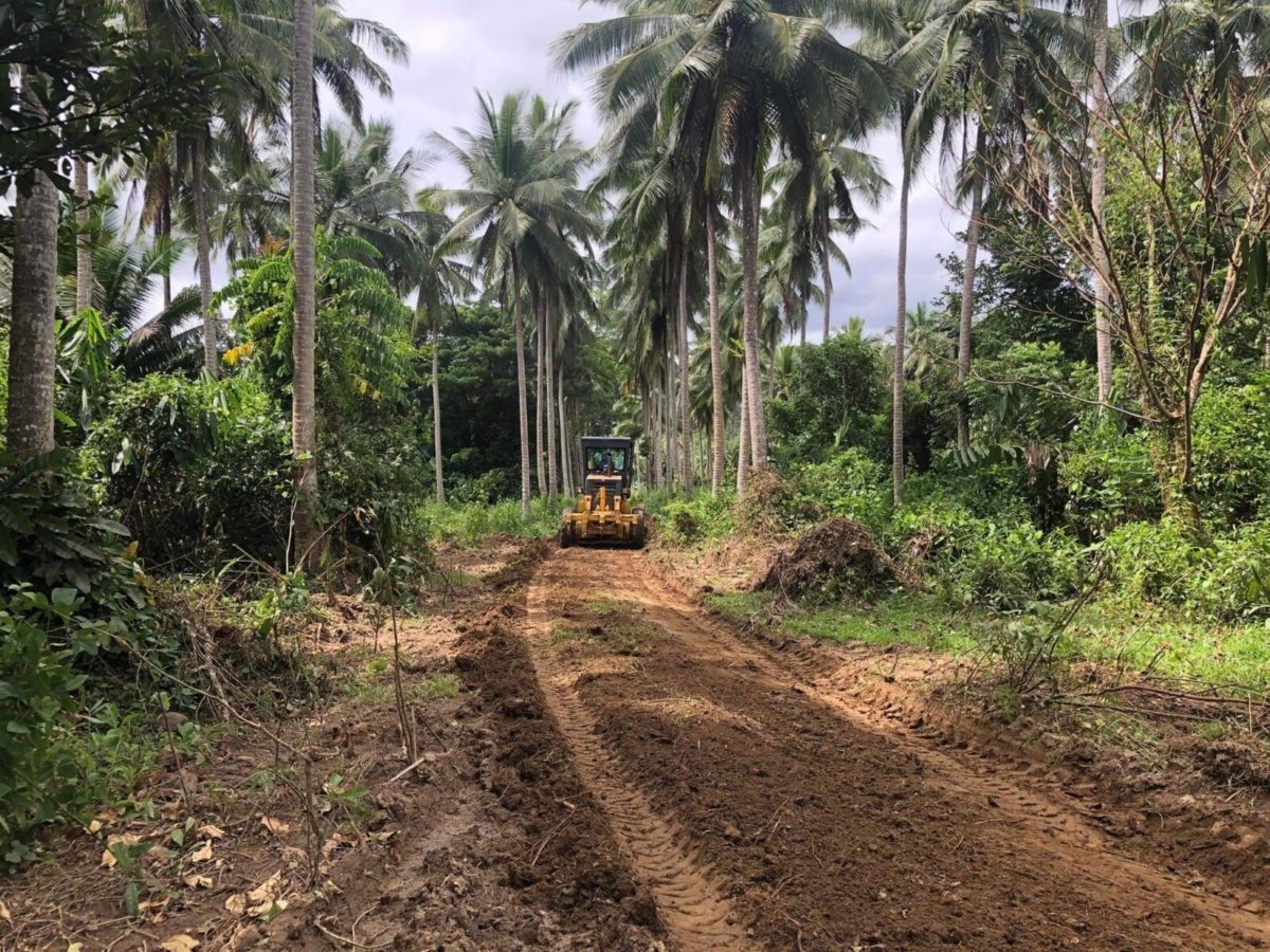 25 Hectares Agricultural Farm with River For Sale in Del Gallego, Camarines Sur