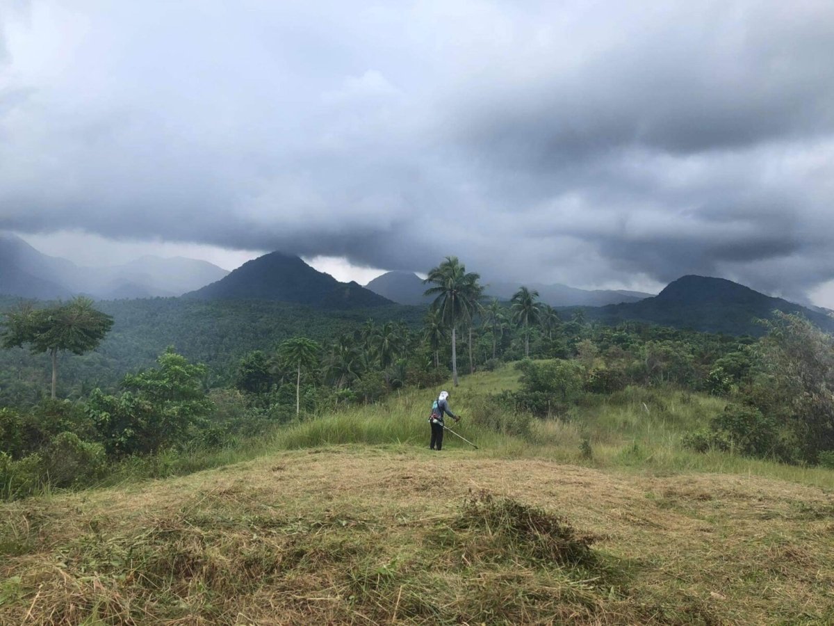 IMG_1258 3 Hectares Lot For Sale in Mercedes, Camarines Norte