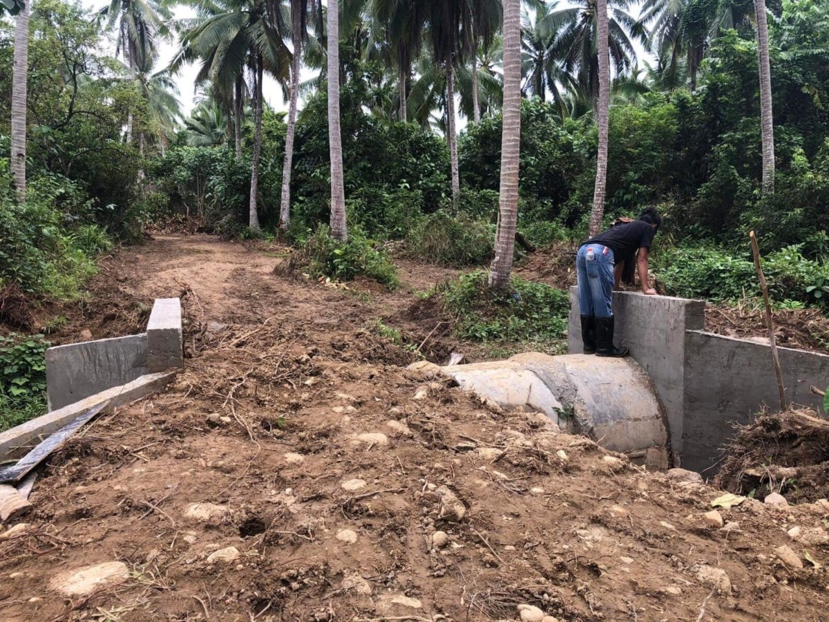 25 Hectares Agricultural Farm with River For Sale in Del Gallego, Camarines Sur