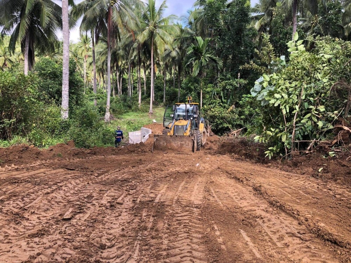 25 Hectares Agricultural Farm with River For Sale in Del Gallego, Camarines Sur