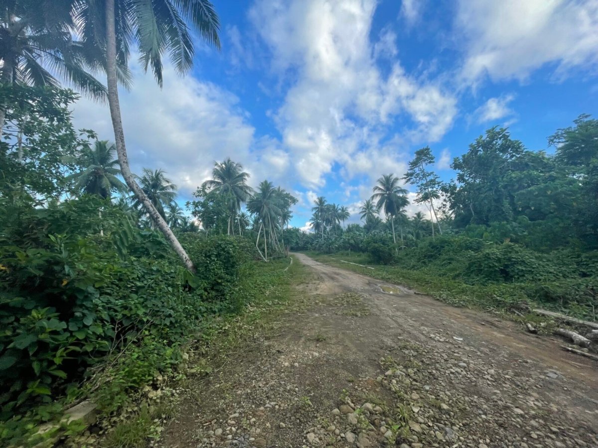 3.2 Hectares Agricultural Farm For Sale in Labo, Camarines Norte