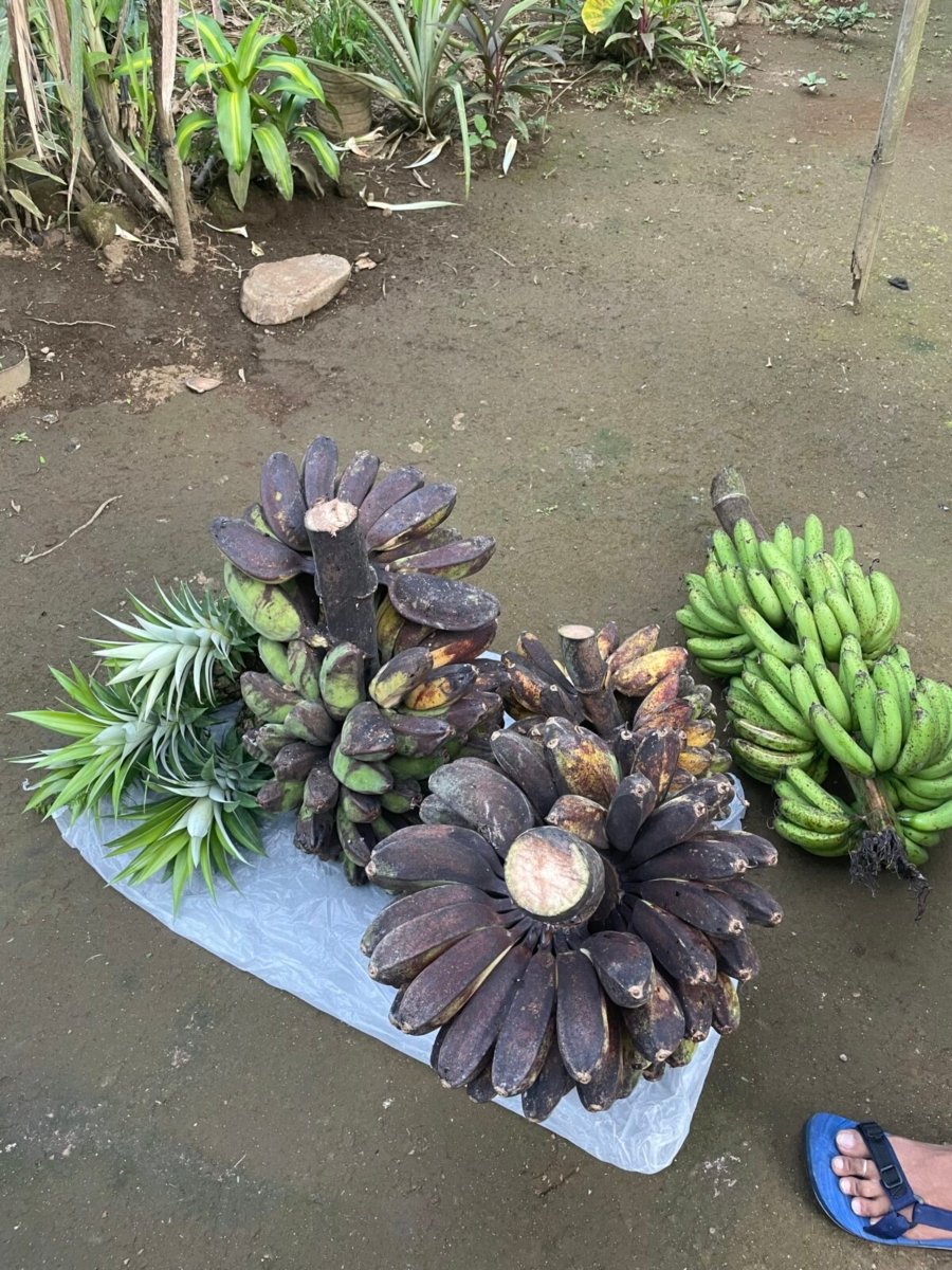 3.2 Hectares Agricultural Farm For Sale in Labo, Camarines Norte