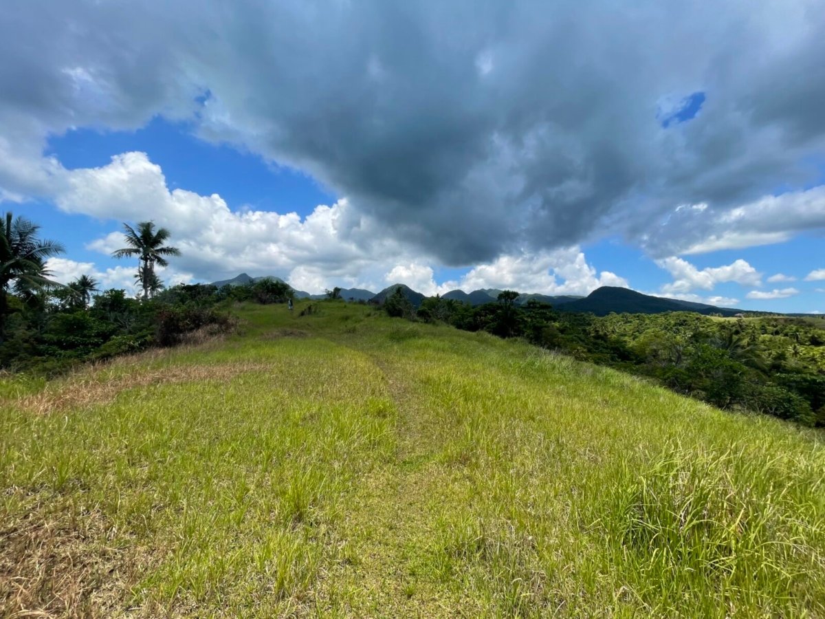 IMG_4588 3 Hectares Lot For Sale in Mercedes, Camarines Norte