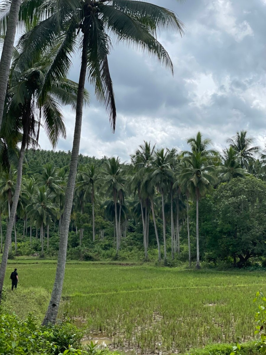 25 Hectares Agricultural Farm with River For Sale in Del Gallego, Camarines Sur