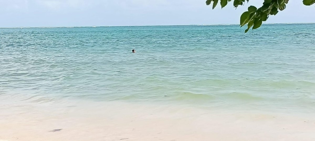 IMG_7563 1.62 Hectares White Sand Beach Property For Sale in Siruma, Camarines Sur