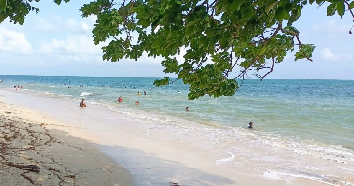 IMG_7574 1.62 Hectares White Sand Beach Property For Sale in Siruma, Camarines Sur