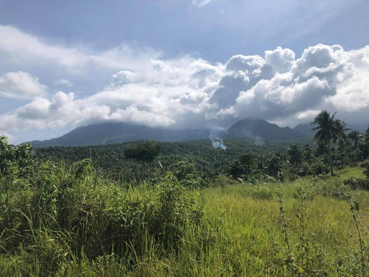 IMG_9162 3 Hectares Lot For Sale in Mercedes, Camarines Norte