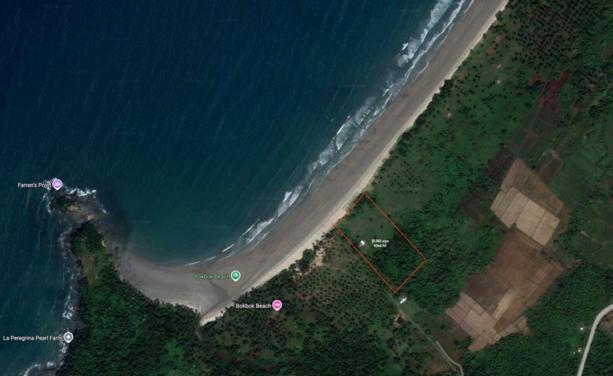Rush Sale: Titled Prime 3.8 Hectares Along San Vicente’s Long Beach Palawan