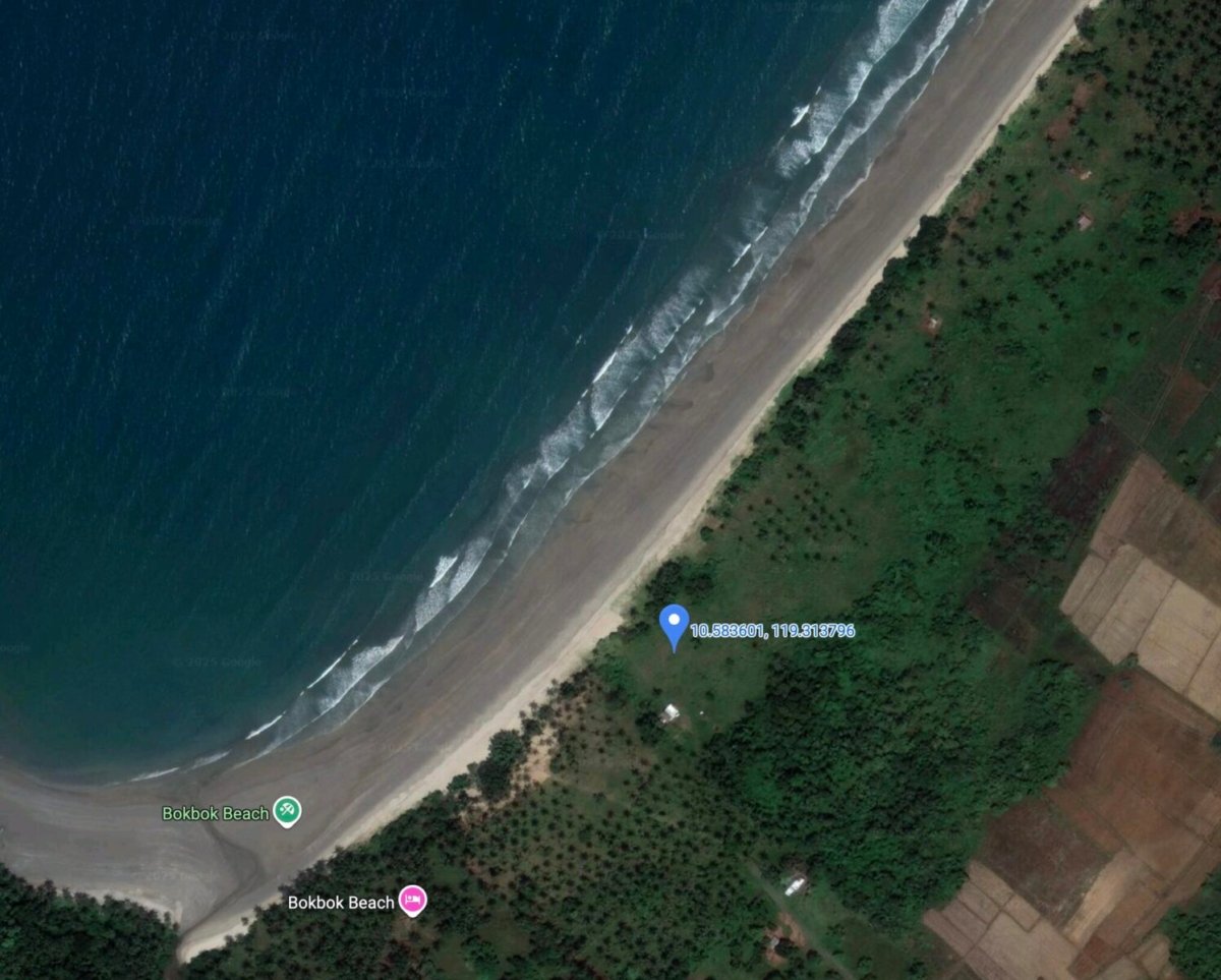 Rush Sale: Titled Prime 3.8 Hectares Along San Vicente’s Long Beach Palawan