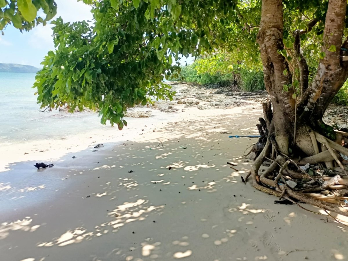 att.MQqUbA2q-WswvZNayzxZDG0giBkfJ0DPlAyBfCKiu1M 1.62 Hectares White Sand Beach Property For Sale in Siruma, Camarines Sur