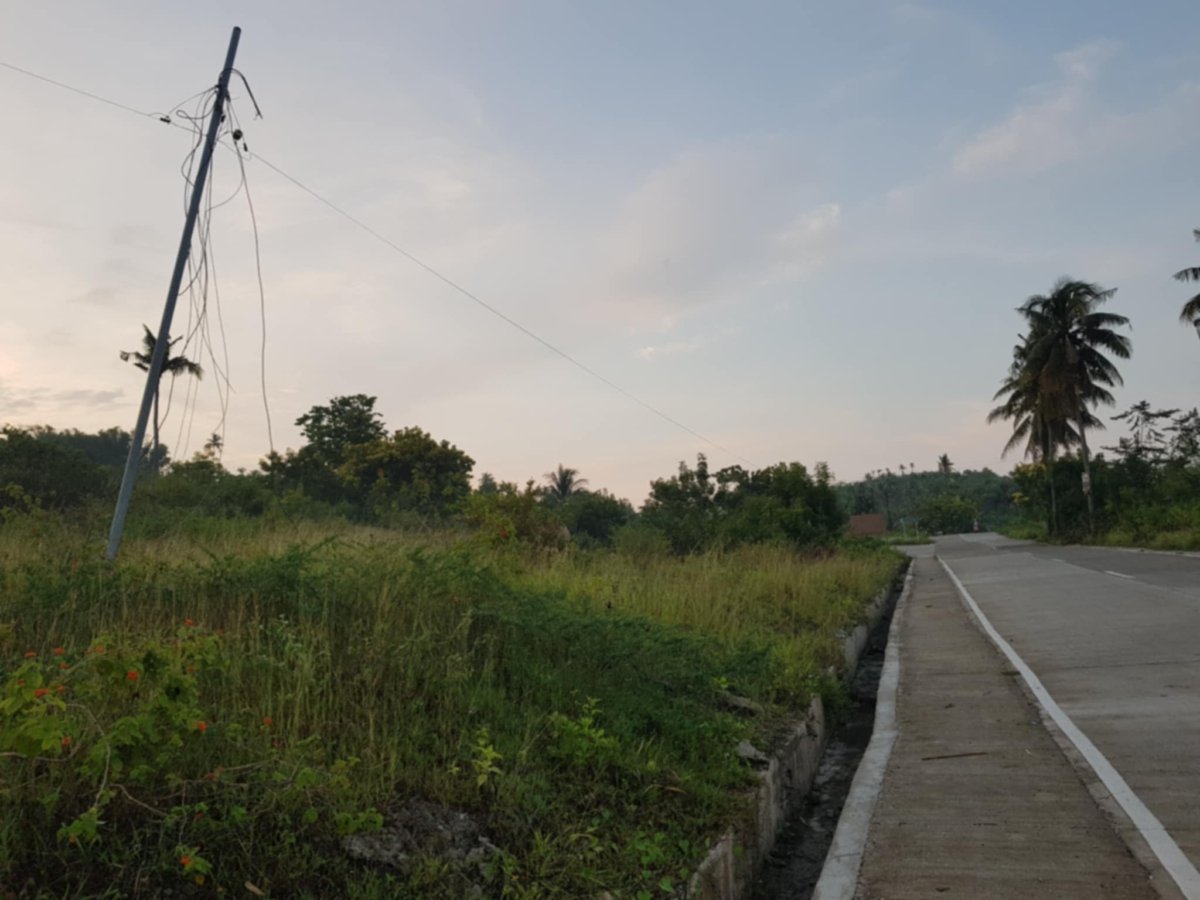 3682d6aa-9c11-4ebb-a11f-568ea555d64d 6 HECTARES LOT FOR SALE IN LAMBUG, BADIAN CEBU