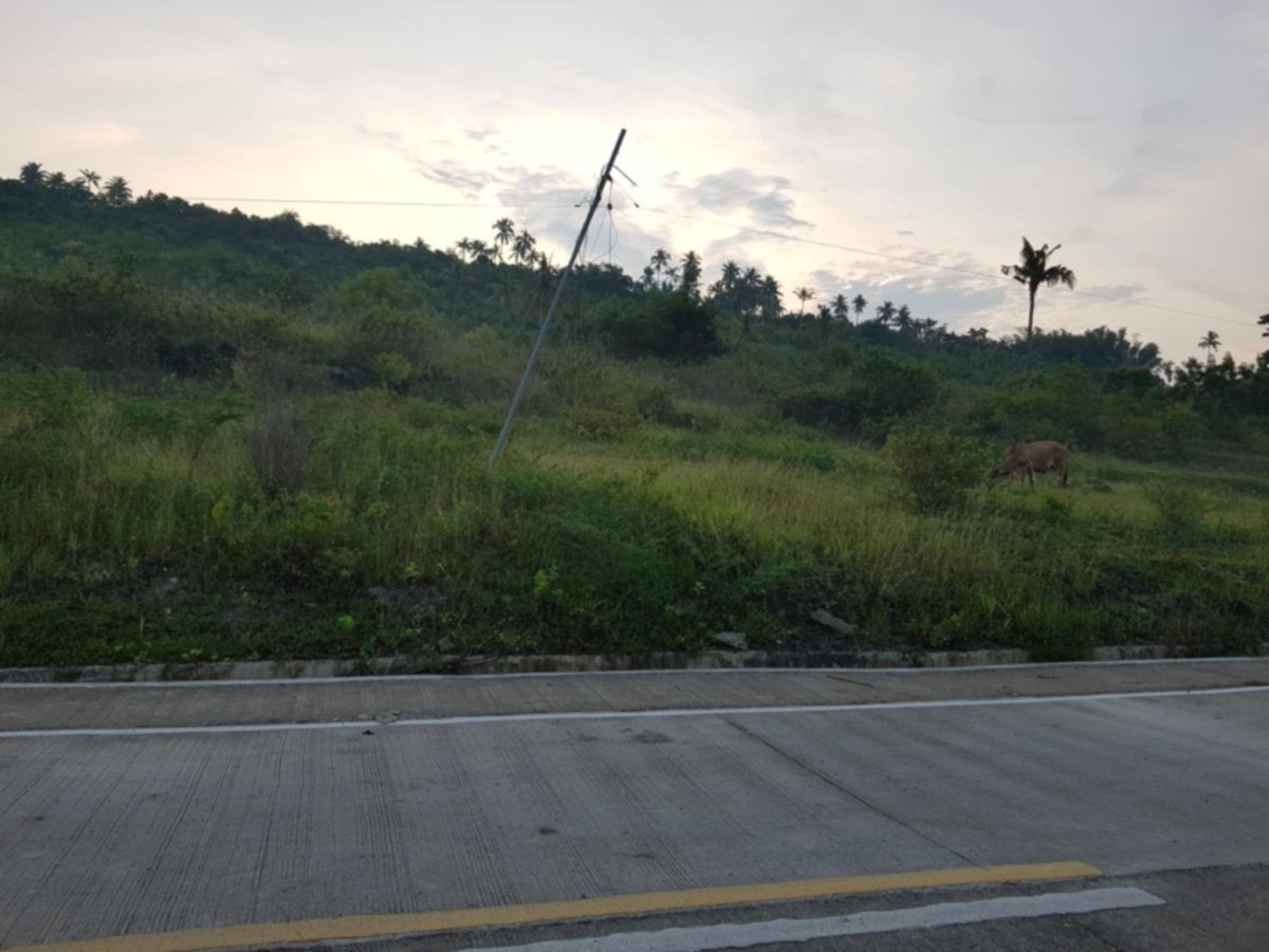 7ab4c084-d9fd-4137-a4f5-486b35626941 6 HECTARES LOT FOR SALE IN LAMBUG, BADIAN CEBU