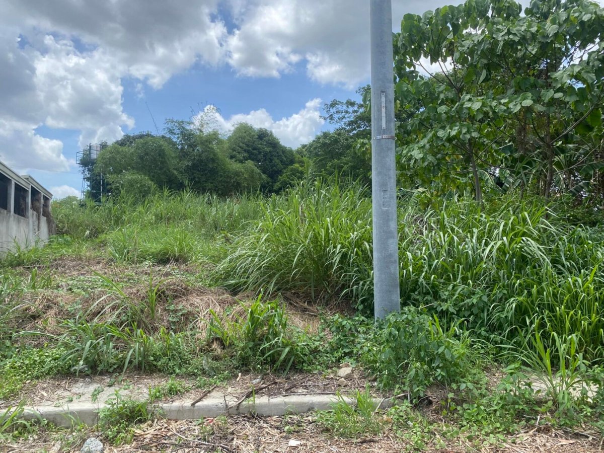 Picture 5 Residential vacant lot for sale at Vista Real Classica Subdivision Commonwealth Avenue, Quezon City
