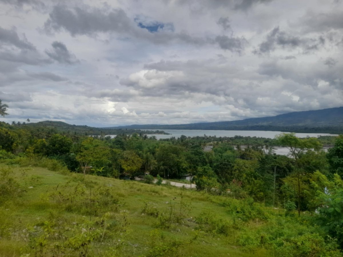 b8741b26-2a2d-4987-908d-fcb133f3d739 6 HECTARES LOT FOR SALE IN LAMBUG, BADIAN CEBU