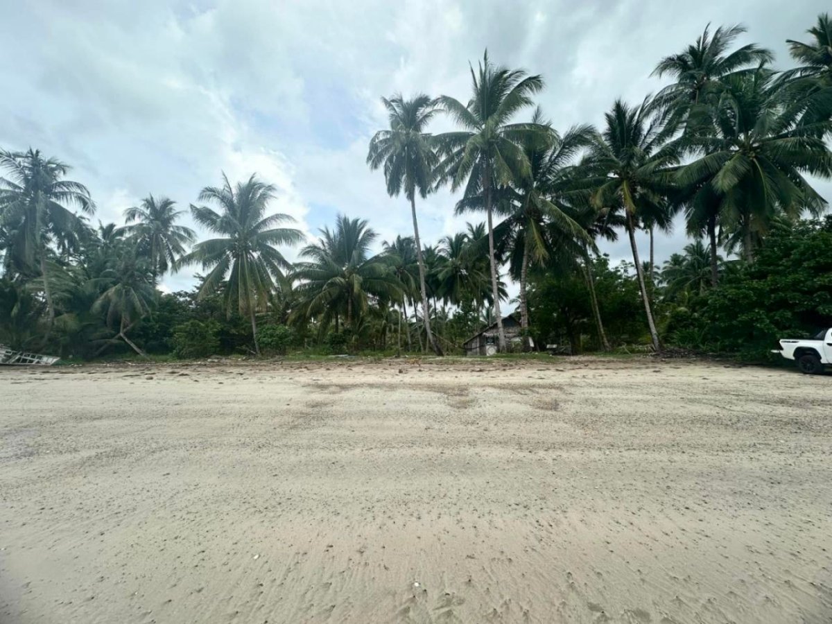 beach 2 For Sale 1.7 ha Beachfront Property in Palawan
