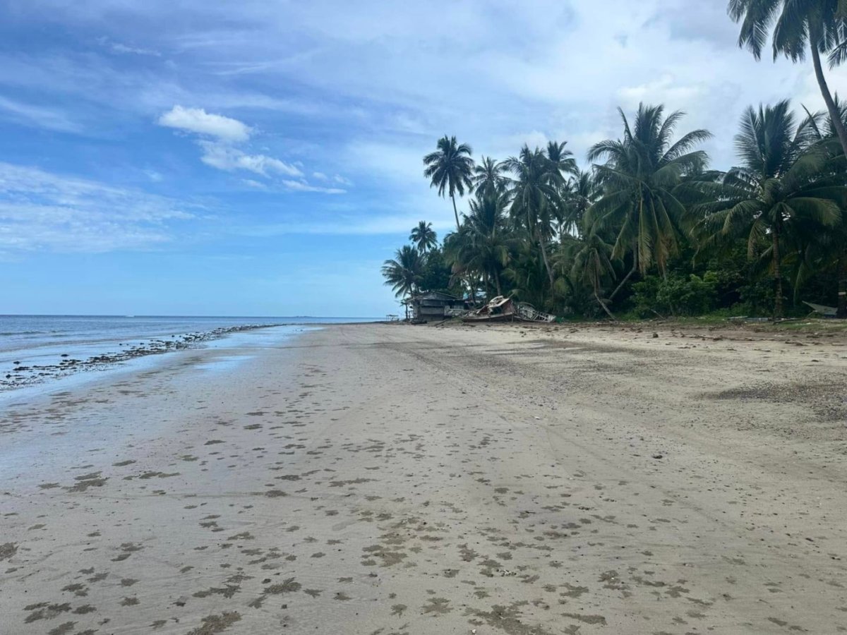 beach 3 For Sale 1.7 ha Beachfront Property in Palawan