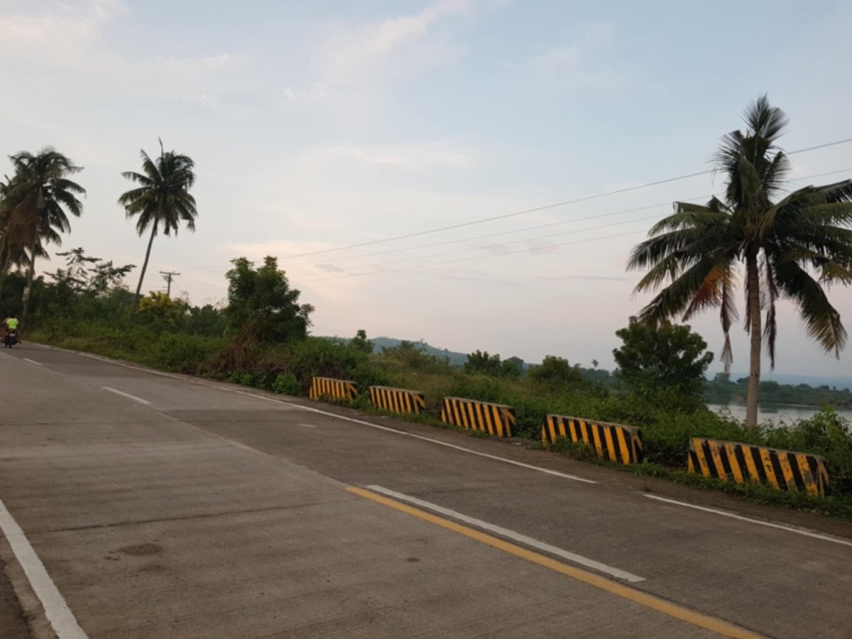 c5950e00-3d48-494e-80ac-335089524da3 6 HECTARES LOT FOR SALE IN LAMBUG, BADIAN CEBU
