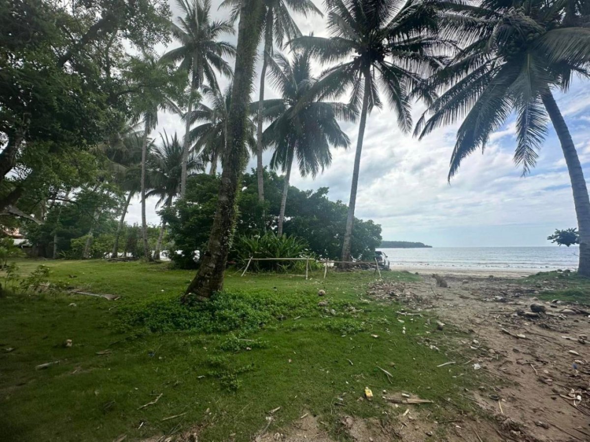 prop 3 For Sale 1.7 ha Beachfront Property in Palawan