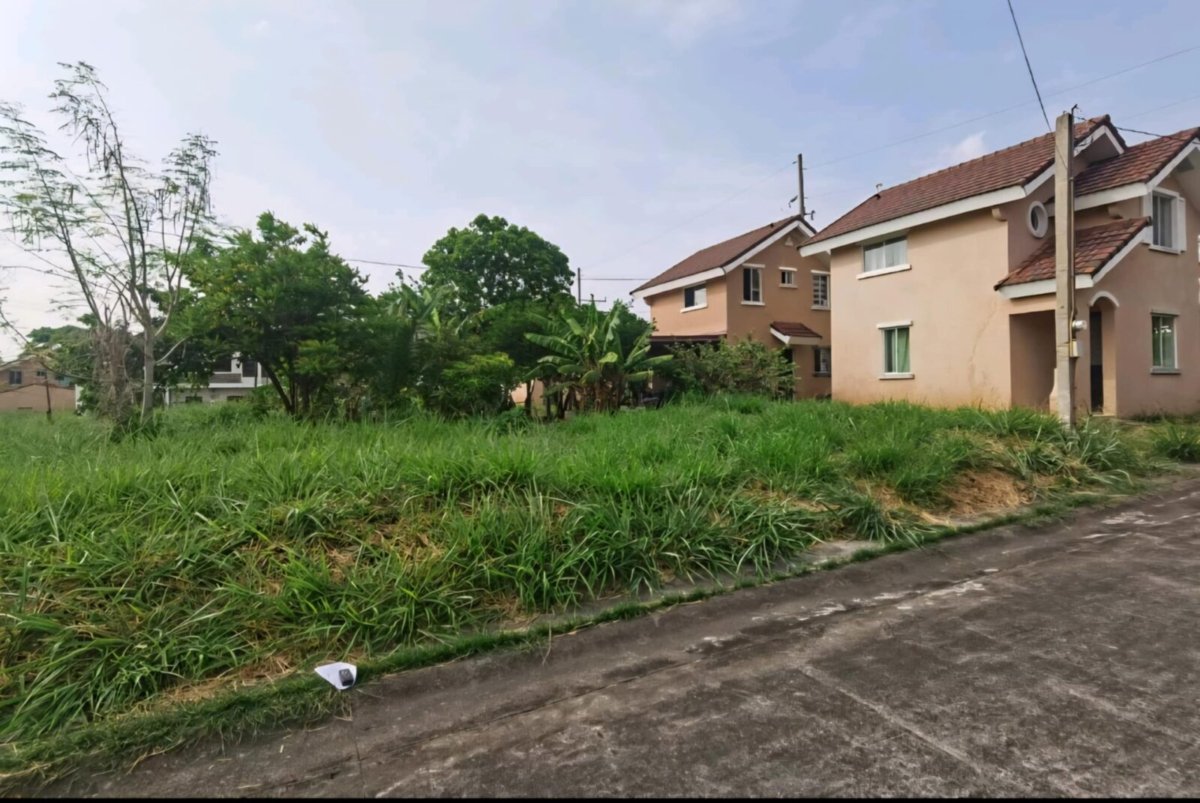 1000030975 Ayala Property Residential Lot in Sto Tomas Batangas