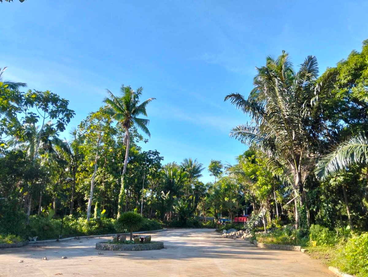 Residential Farm lot 506 sqm with ideal location for sale near Tagaytay