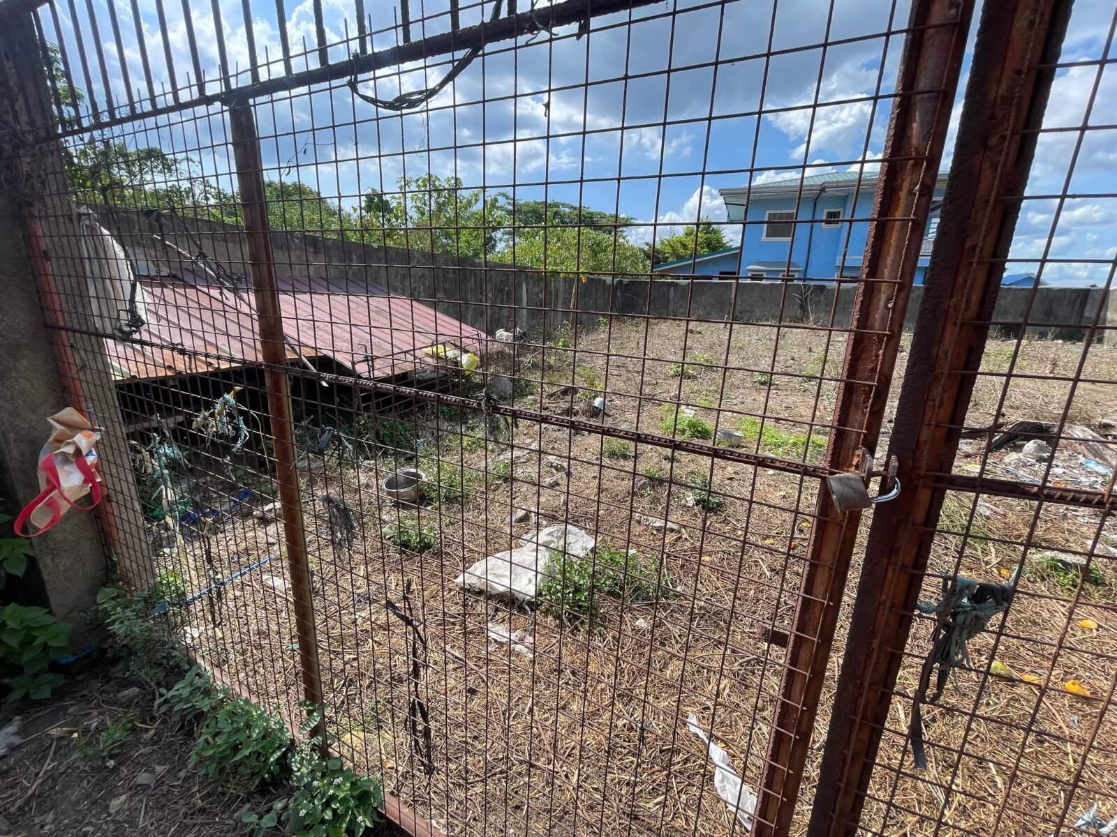 3e4780342d6286ec3e8036789c95719f