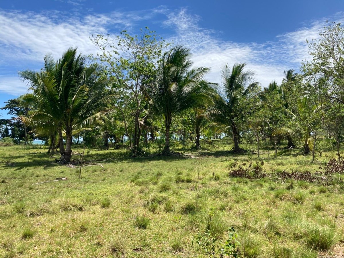 Beach Lot for Sale Palawan
