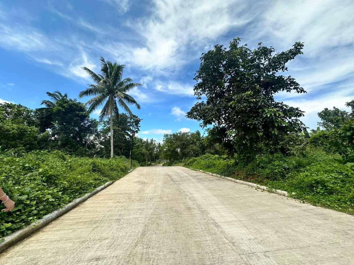 500 sqm with Fruits bearing Farmlot for sale near Tagaytay