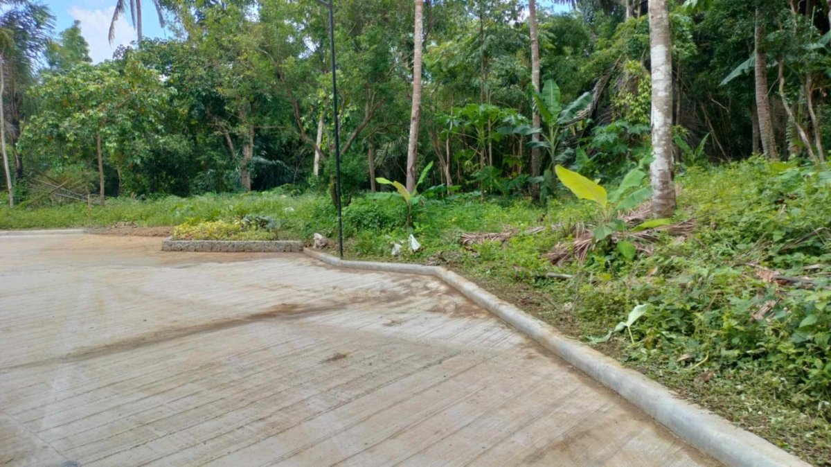 Residential Farm lot 506 sqm with ideal location for sale near Tagaytay