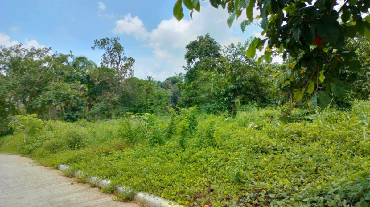 Residential Farm lot 506 sqm with ideal location for sale near Tagaytay