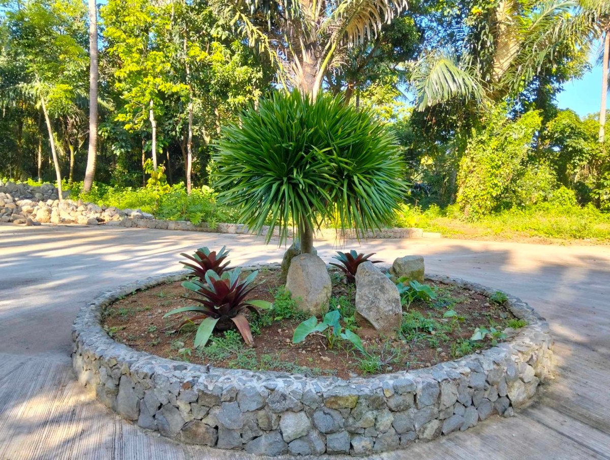 FARM LOT WITH TAGAYTAY WEATHER IN CAVITE FOR SALE 500 SQM LIMITED LOTS ONLY