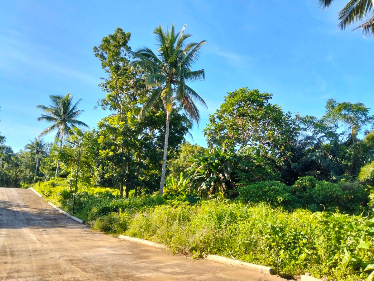Lot for sale 500 sqm in Cavite near Tagaytay area